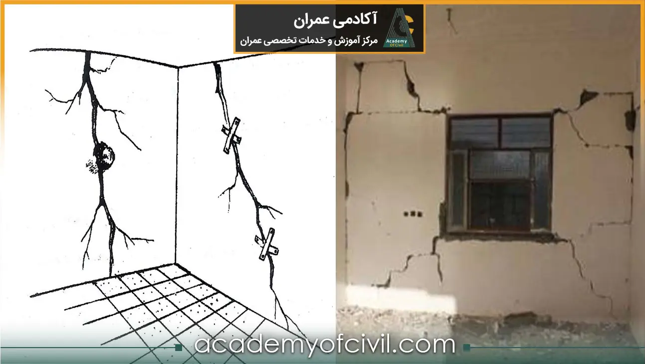 ترک مرده و زنده